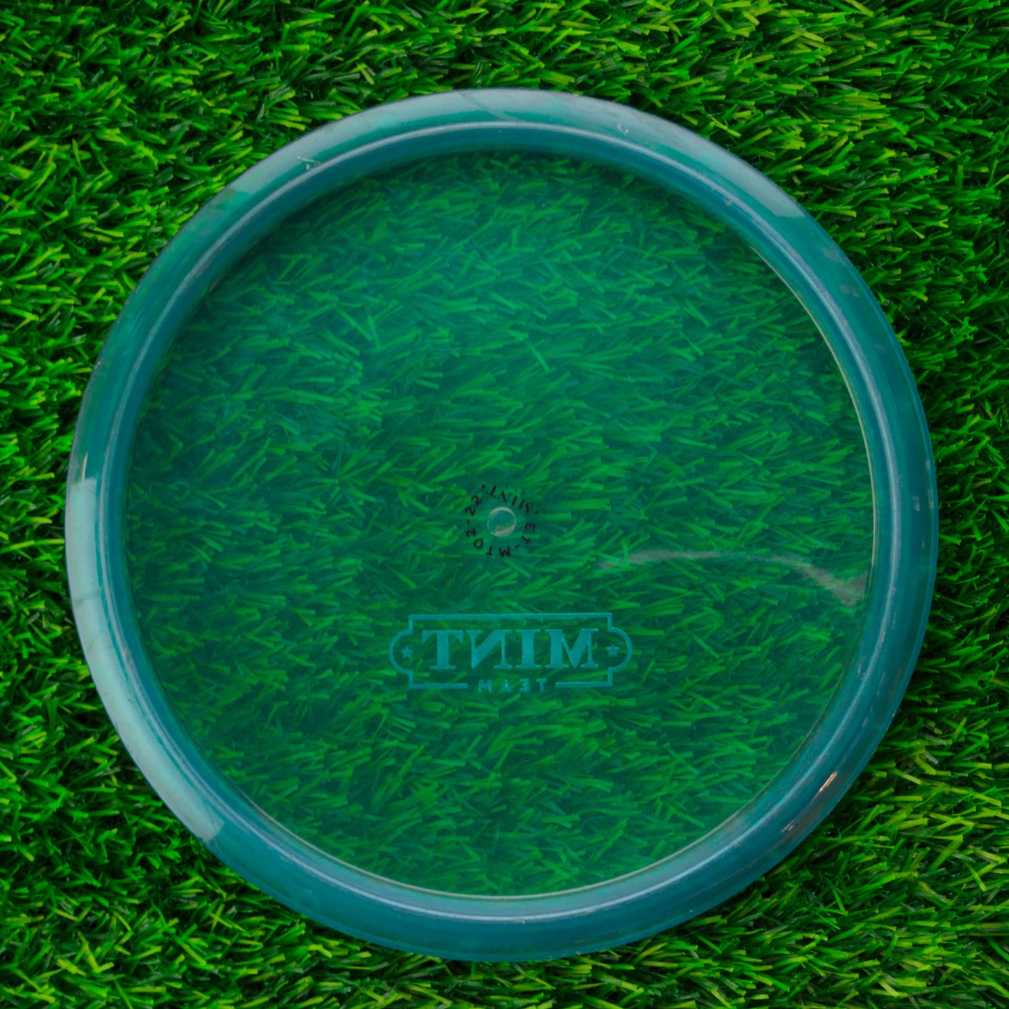 Mint Discs Mustang